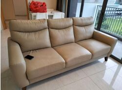La Fiesta (D19), Condominium #560055931